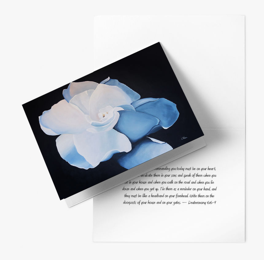 White Gardenia Greeting Card , Png Download - Gardenia, Transparent Png, Free Download