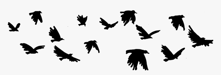 Imagenes Png De Pajaros , Png Download - Pajaros Png, Transparent Png, Free Download