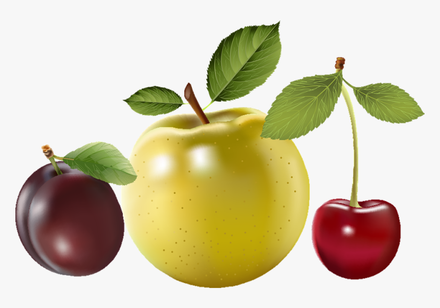 Cherry, HD Png Download, Free Download