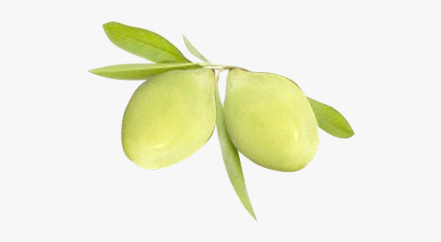 Thumb Image - Kakadu Plum Fruit Png, Transparent Png, Free Download