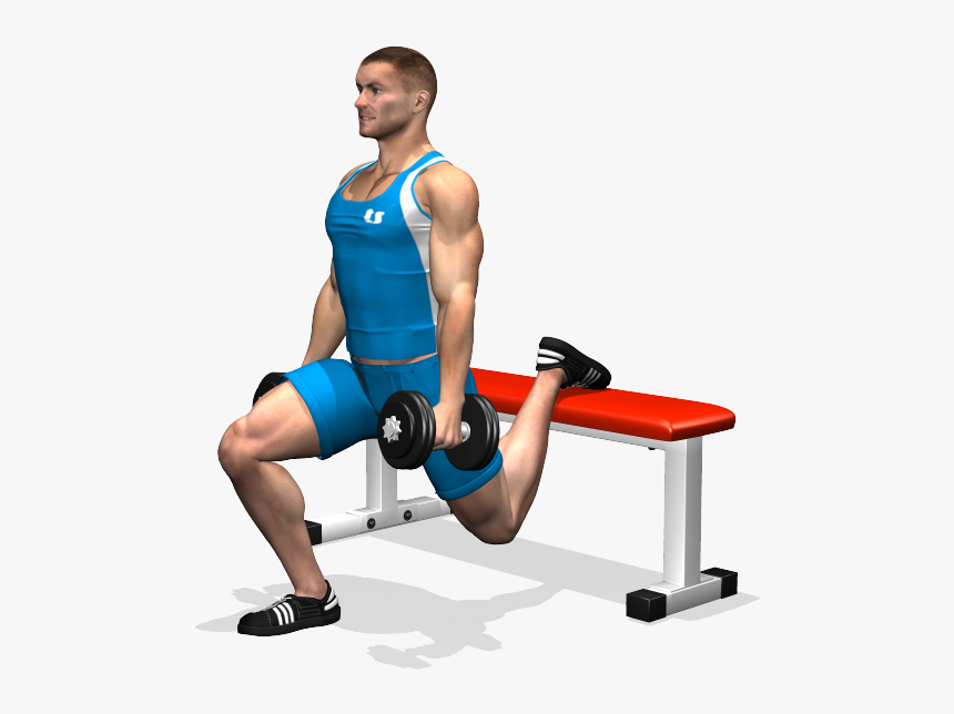 Split Squat Transparent, HD Png Download, Free Download