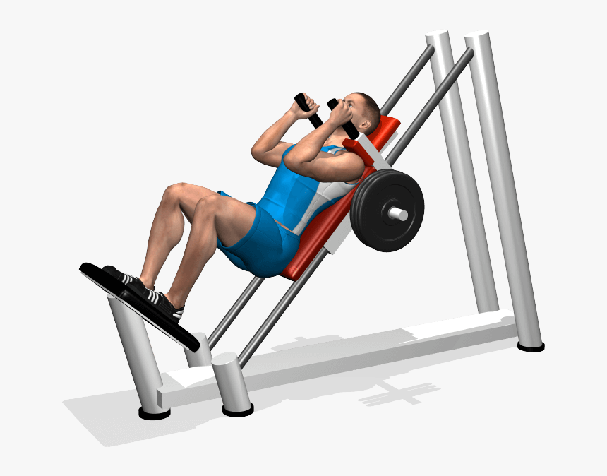 Macchina Per Gli Squat , Png Download - Esercizi Per Gambe Palestra, Transparent Png, Free Download