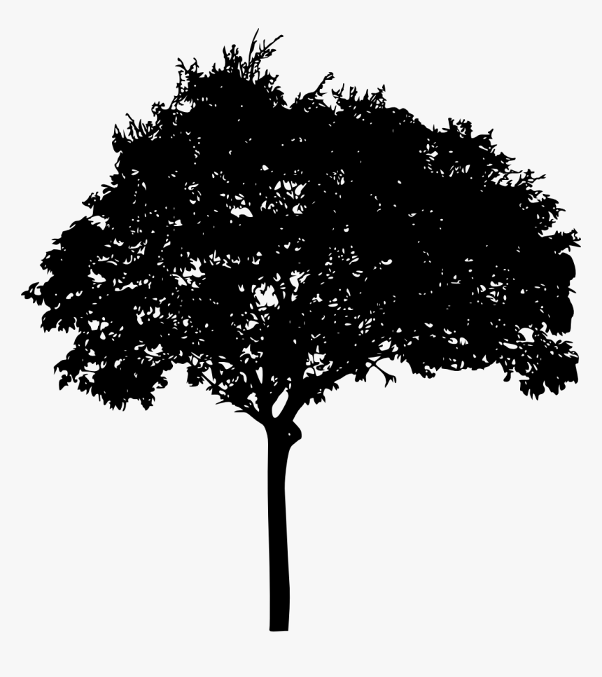 Tree Silhouette High Resolution , Png Download - Deciduous Tree Png Silhouette, Transparent Png, Free Download