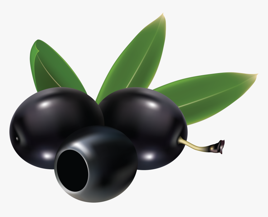 Black Olives Png , Png Download - Black Olives Clip Art, Transparent Png, Free Download