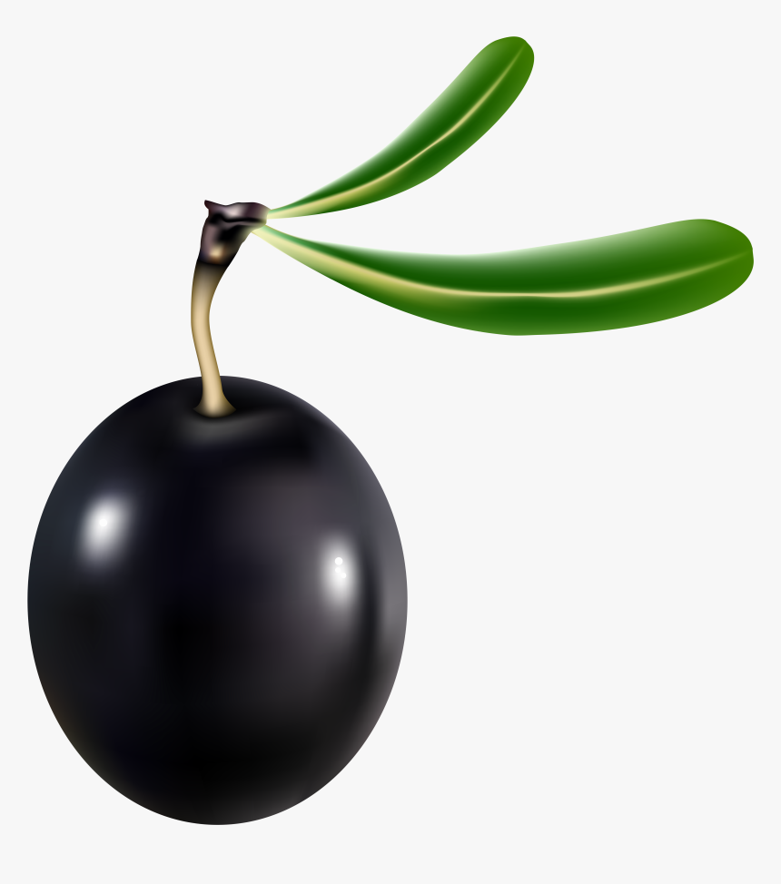 Black Olive Transparent Clipart , Png Download - Black Olive Png, Png Download, Free Download