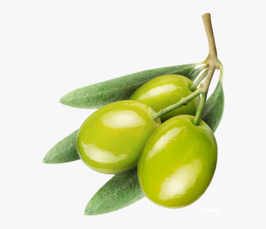 Olives Png Free Download - Aceituna Psd, Transparent Png, Free Download