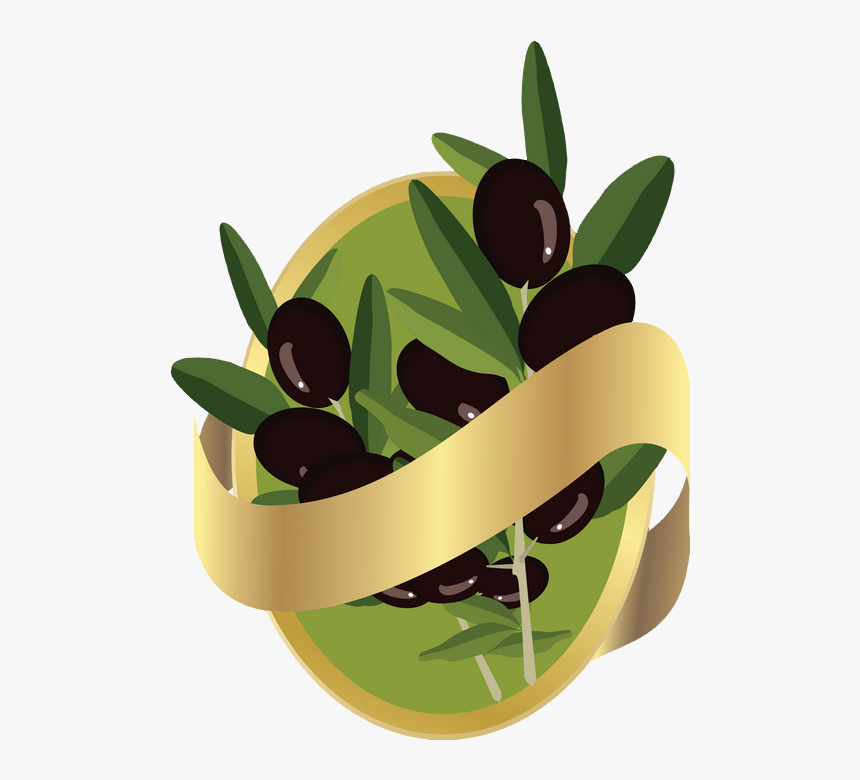 Transparent Olives Clipart - Olive Oil, HD Png Download, Free Download