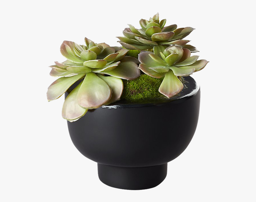 Flowerpot, HD Png Download, Free Download