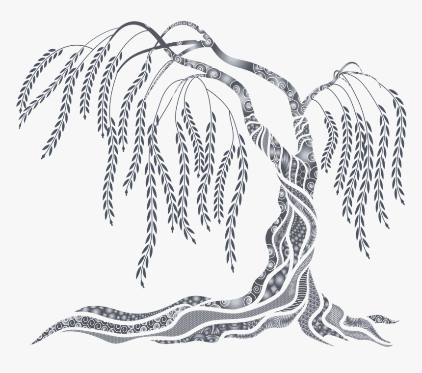 Weeping Willow, HD Png Download, Free Download