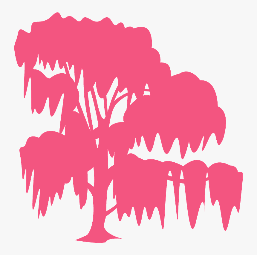 Weeping Willow, HD Png Download, Free Download