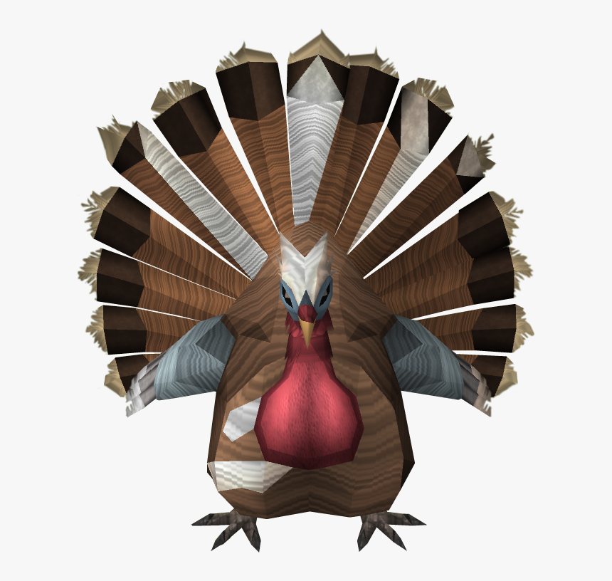 Turkey Feathers Png, Transparent Png, Free Download