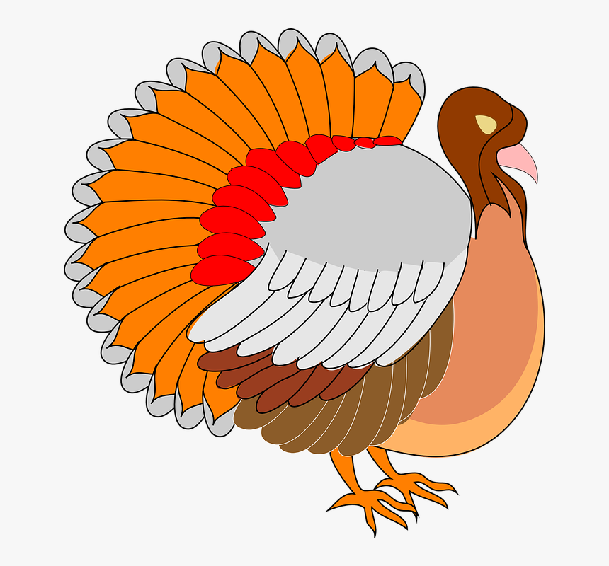 Orange Turkey Svg Clip Arts - Turkey Clip Art, HD Png Download, Free Download