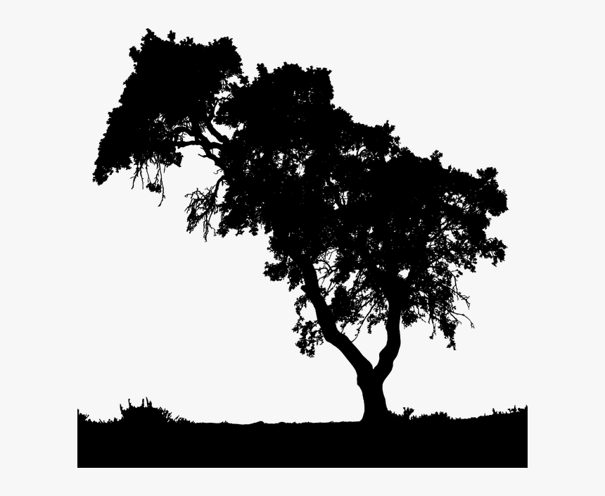 Tree Silhouette Landscape Png, Transparent Png, Free Download