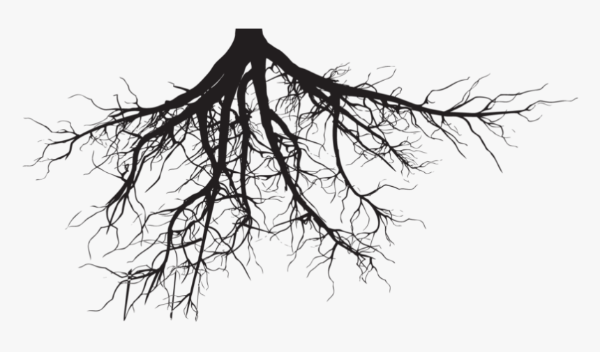 Roots - Tree Roots Silhouette Png, Transparent Png, Free Download