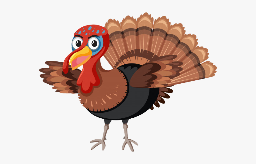 Wild Turkey Png Image Download - Turkey On White Background, Transparent Png, Free Download