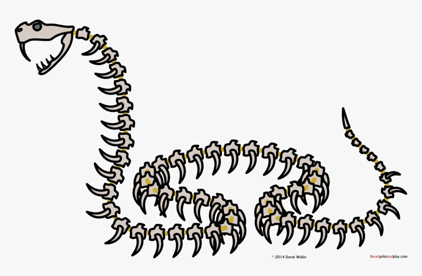 Skeleton Giant Snake T - Skeleton Snake Png, Transparent Png, Free Download