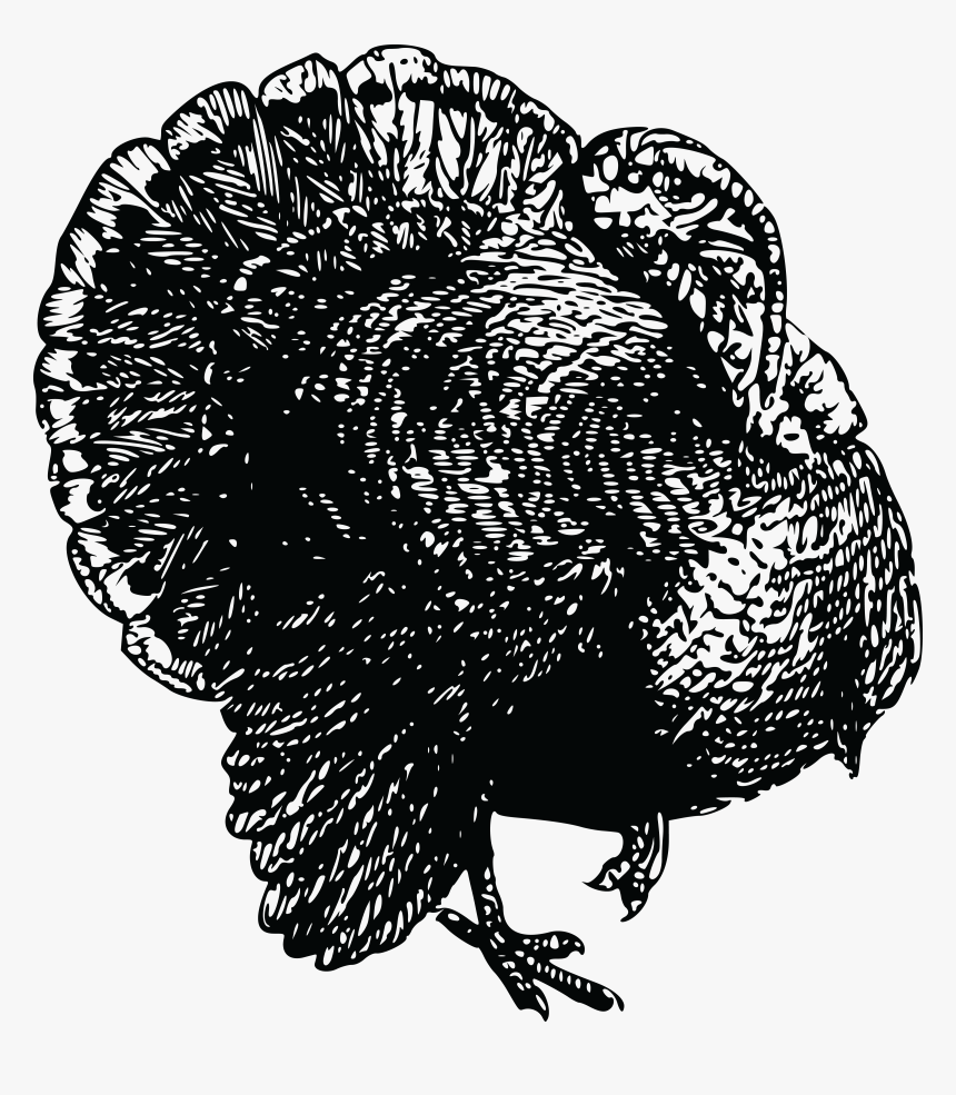 Transparent Cute Turkey Png, Png Download, Free Download