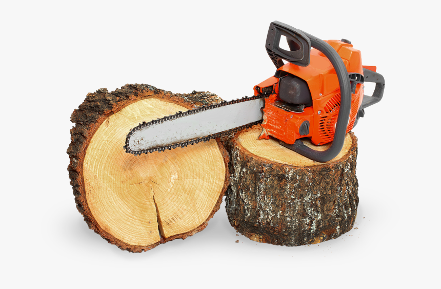 Transparent Tree Stump Png - Chainsaw Tree Png, Png Download, Free Download