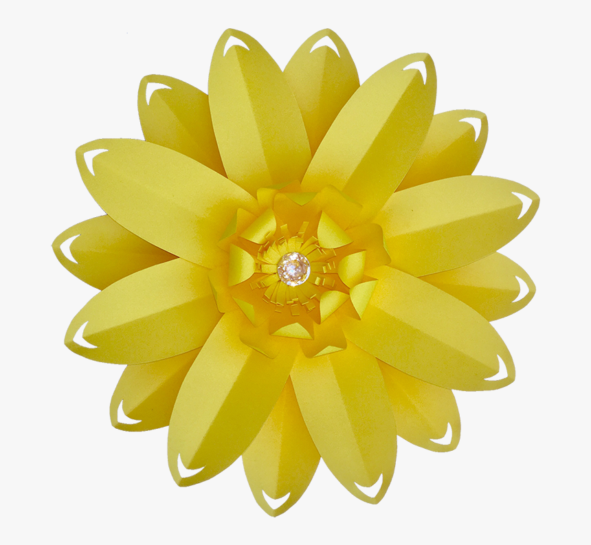 Dahlia, HD Png Download, Free Download