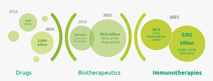 Immunotherapy Sector, HD Png Download, Free Download