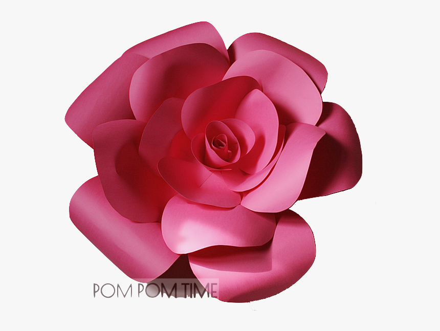 Garden Roses, HD Png Download, Free Download