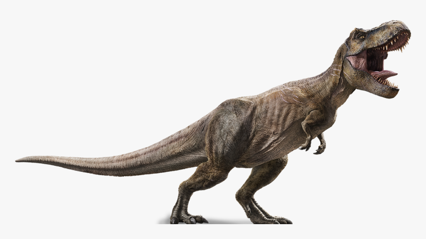 Jurassic World Png - Jurassic World Tiranosaurio Rex, Transparent Png, Free Download