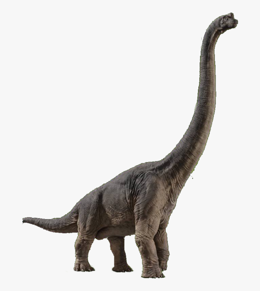 Transparent Jurassic World Clipart - Jurassic Park Dinosaur Transparent, HD Png Download, Free Download