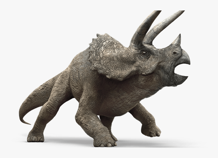 Com Dinosaur Mistakes - Triceratops Jurassic World, HD Png Download, Free Download