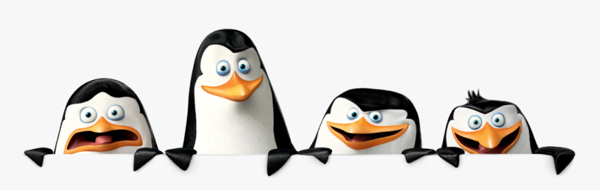 Madagascar Penguins Png - Png Madagascar, Transparent Png, Free Download