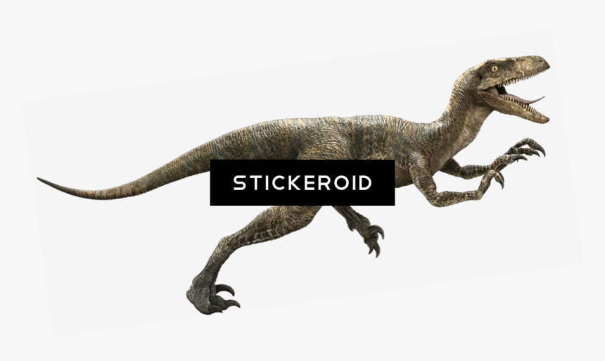 Velociraptor Hd Animals Dinosaur Reptile - Jurassic World Velociraptor Png, Transparent Png, Free Download