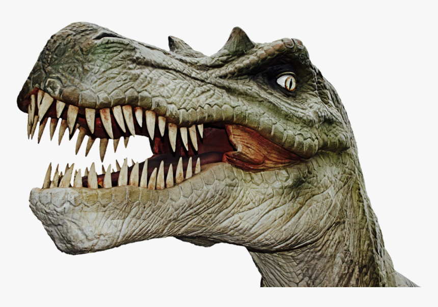 Dinosaur Head Transparent Background, HD Png Download, Free Download