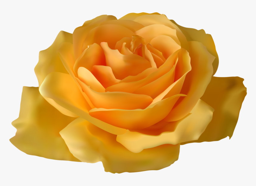 Yellow Rose Png Clipart - Blue Rose Transparent Background, Png Download, Free Download