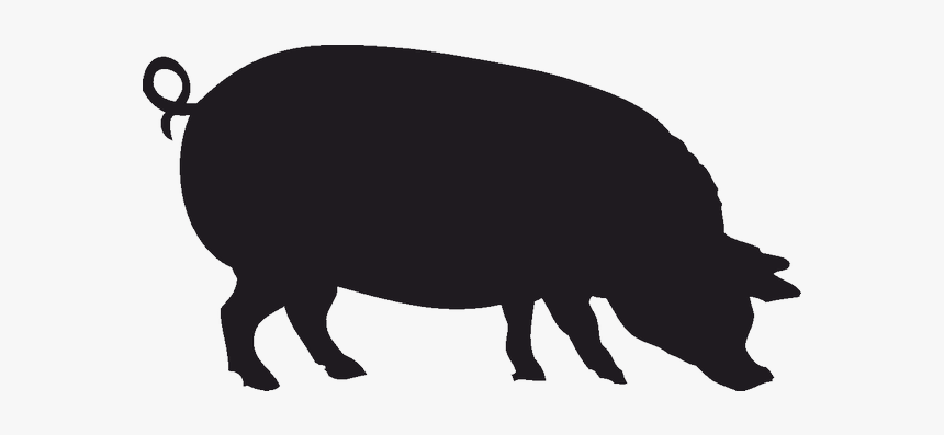 Wild Boar Silhouette Stencil Clip Art - Transparent Pig Silhouette, HD Png Download, Free Download