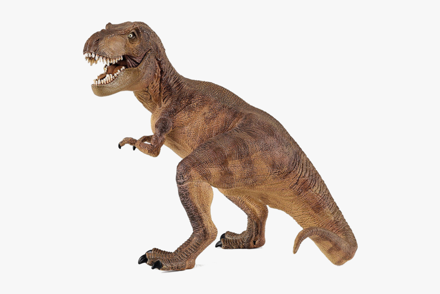 Jurassic Park Playfield T - Dinosaur Tyrannosaurus, HD Png Download, Free Download