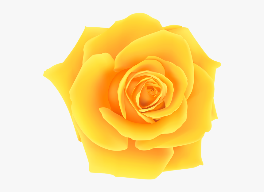 Rose Png - Yellow Rose Clipart Png, Transparent Png, Free Download