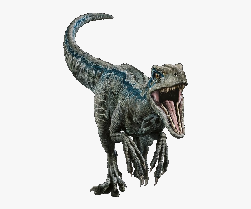 Velociraptor Blue Jurassic World, HD Png Download, Free Download