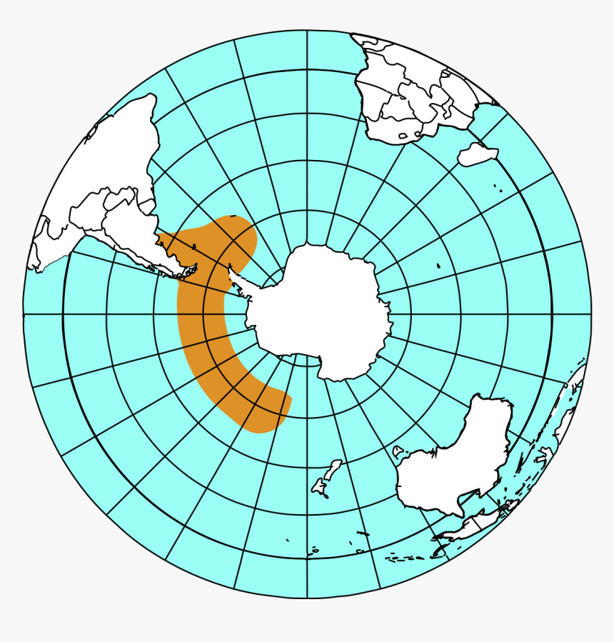 Pygoscelis Antarctica Distribucion, HD Png Download, Free Download