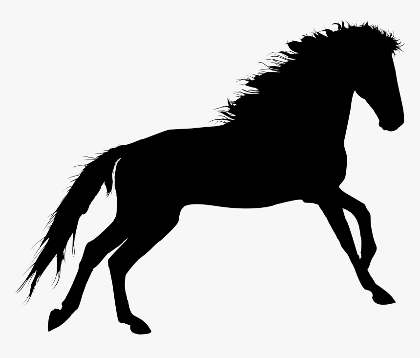 Horse Portable Network Graphics Clip Art Silhouette - Transparent Horse Roped Silhouette, HD Png Download, Free Download