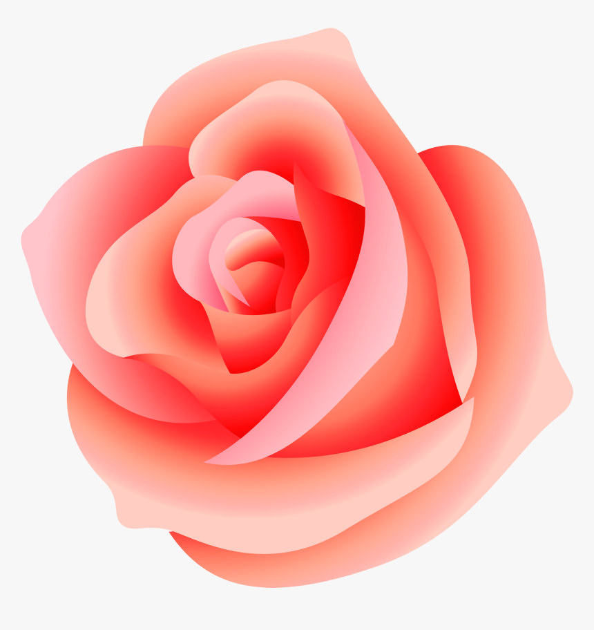 Transparent Background Pink Rose Png, Png Download, Free Download