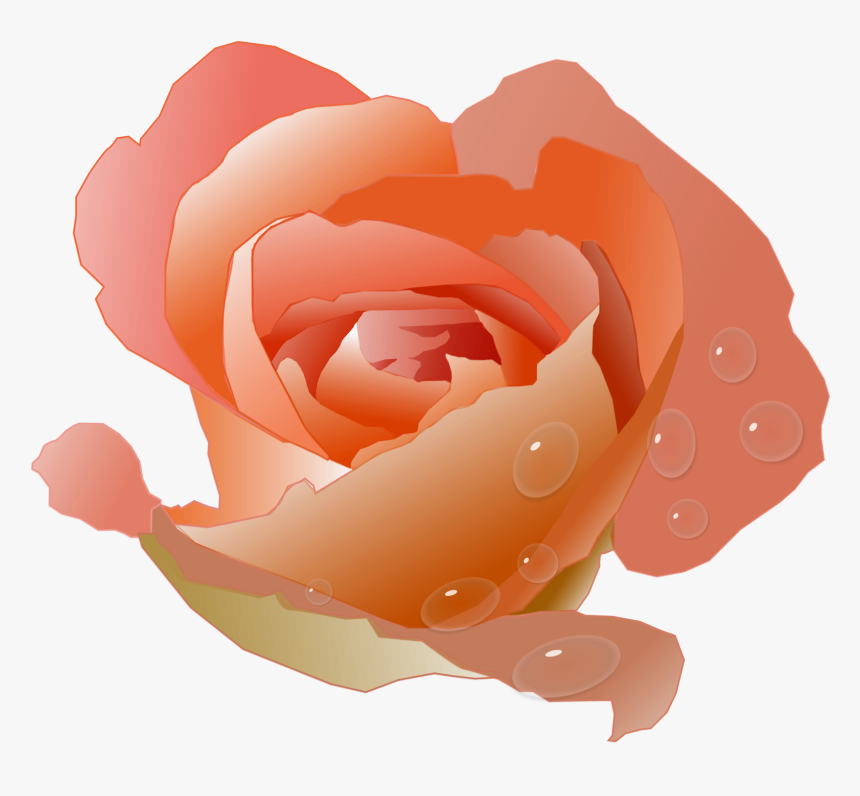 Free Rose Clipart Animations - Coral Roses Clipart, HD Png Download, Free Download