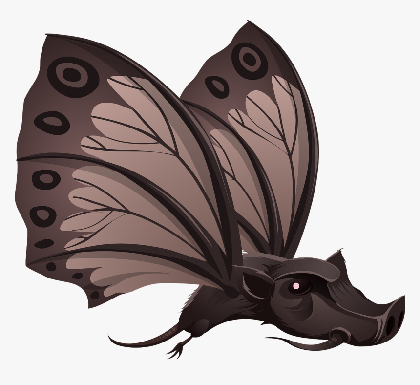 Transparent Boar Clipart - Pig Butterfly, HD Png Download, Free Download