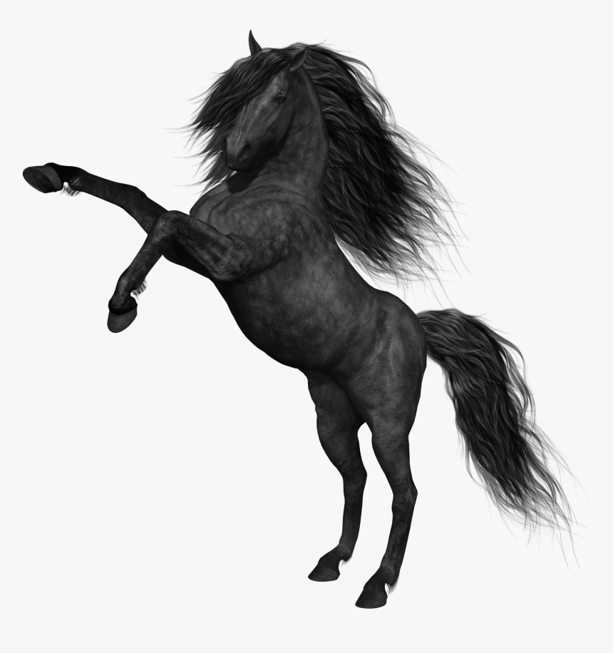 Black Horse Png Picture - Mustang Horse Png, Transparent Png, Free Download