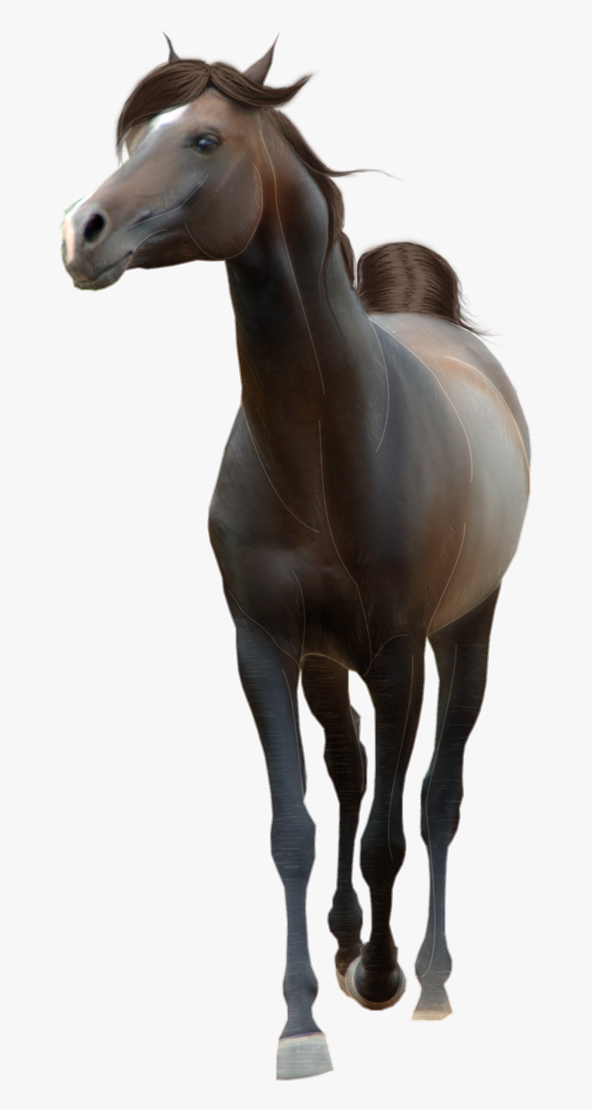 Horse Png Free Image Download - Transparent Background Horse Png, Png Download, Free Download