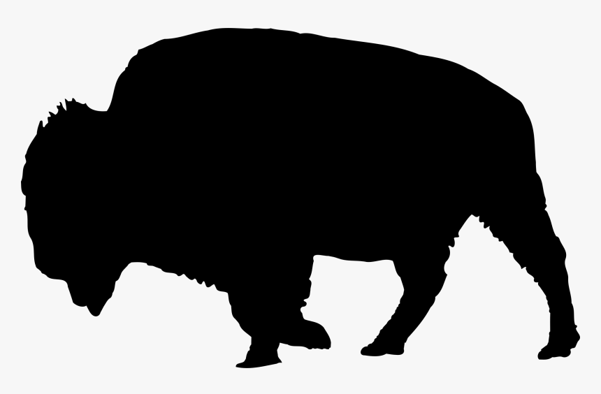 Bison,silhouette,clip Art,snout,terrestrial - Bison Petting Chart, HD Png Download, Free Download