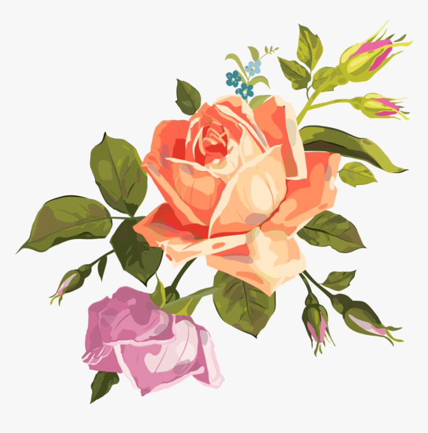 Roses Vector Png - Watercolour Roses Vector Png, Transparent Png, Free Download