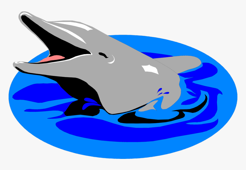 Transparent Dolphin Clipart - Dolphin In Water Clipart, HD Png Download, Free Download