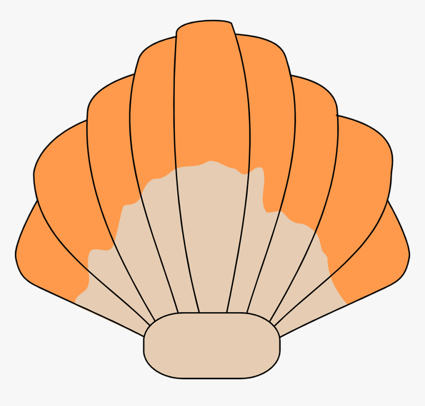 Sea Shell Free Stock Photo Illustration Of Transparent - Sea Shell Clip Art, HD Png Download, Free Download