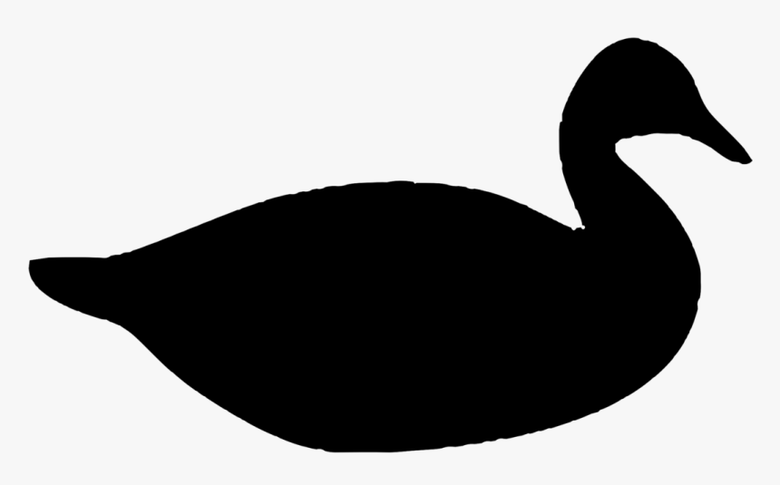 Poultry,water Bird,livestock - Ducks Silhouette Png, Transparent Png, Free Download