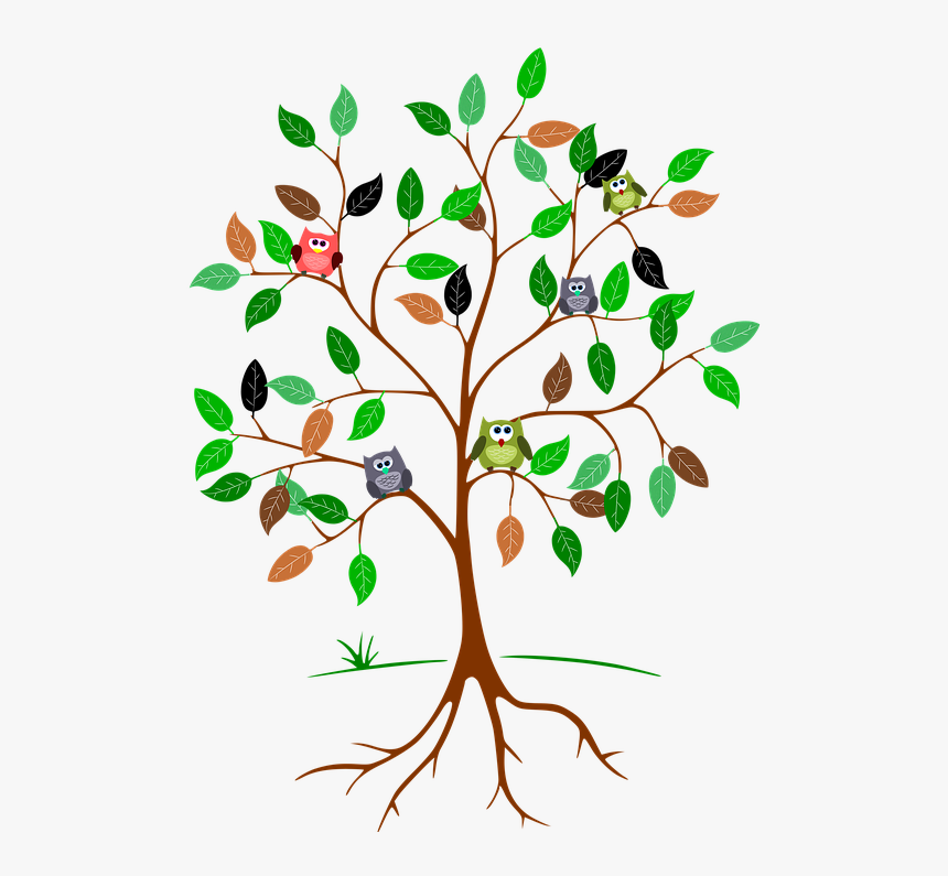 Tree With Roots And Leaves, HD Png Download, Free Download