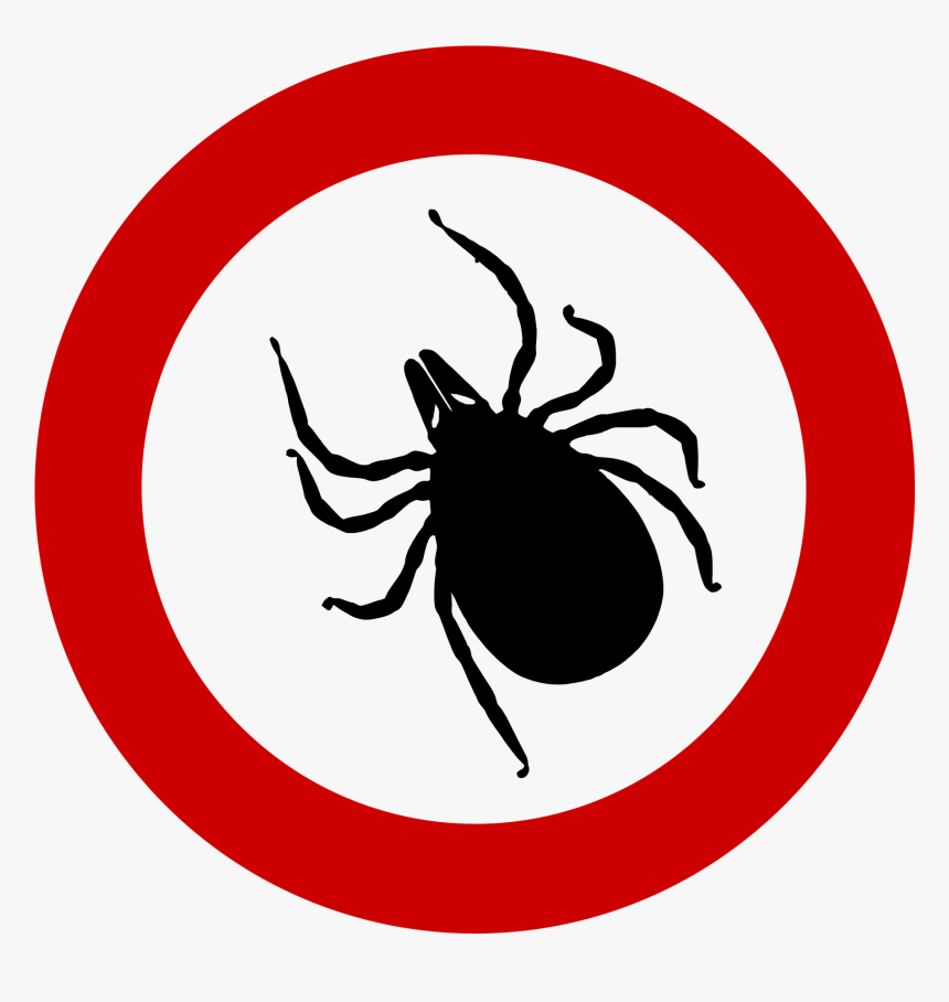 Tick Clipart Silhouette, HD Png Download, Free Download